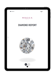 Rocca digital report - sarine